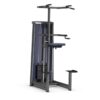 Gym80 Kevennetty Dippi Ja Leuanveto, Sygnum Standard. Tuotekoodi:3017