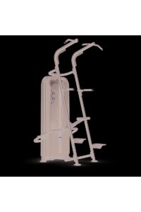 Vision Access Avustettu leuanveto/dippi